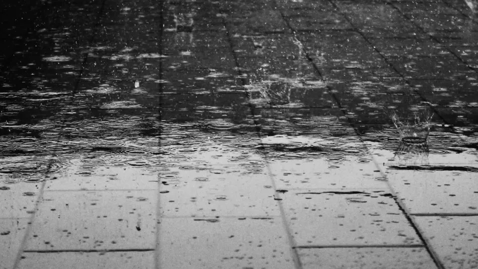 Фото: pxhere.com