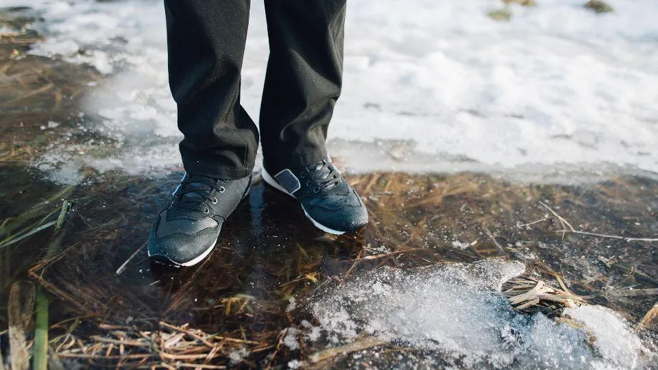 istockphoto.com/Artranq