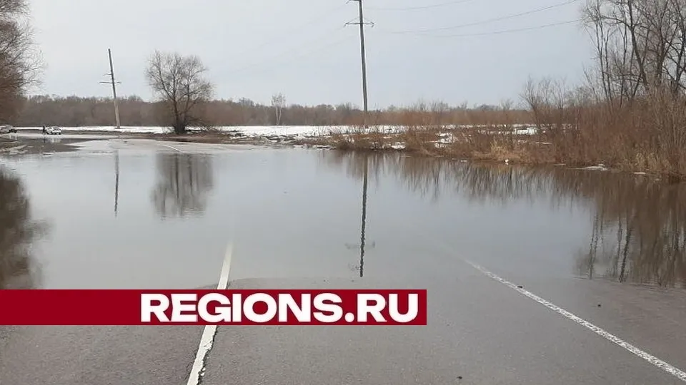 Фото: пресс-служба администрации городского округа Луховицы