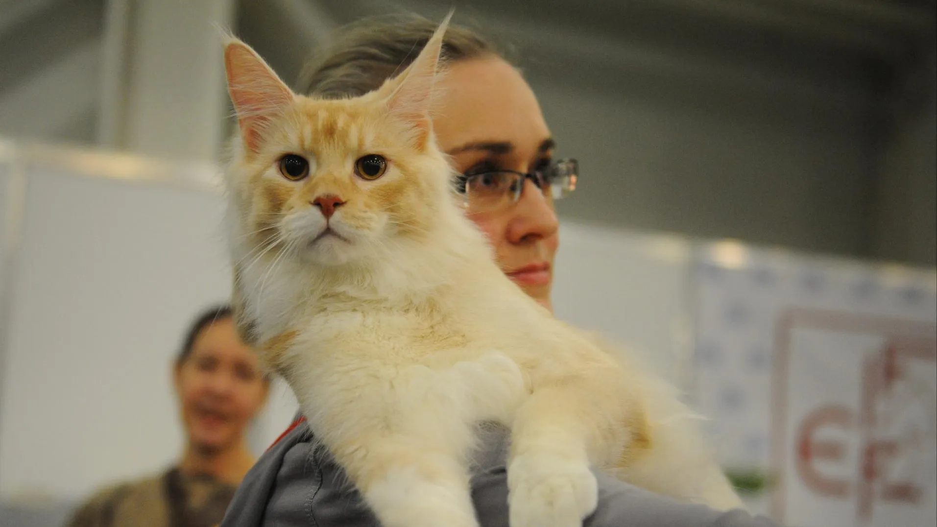 медиасток.рф