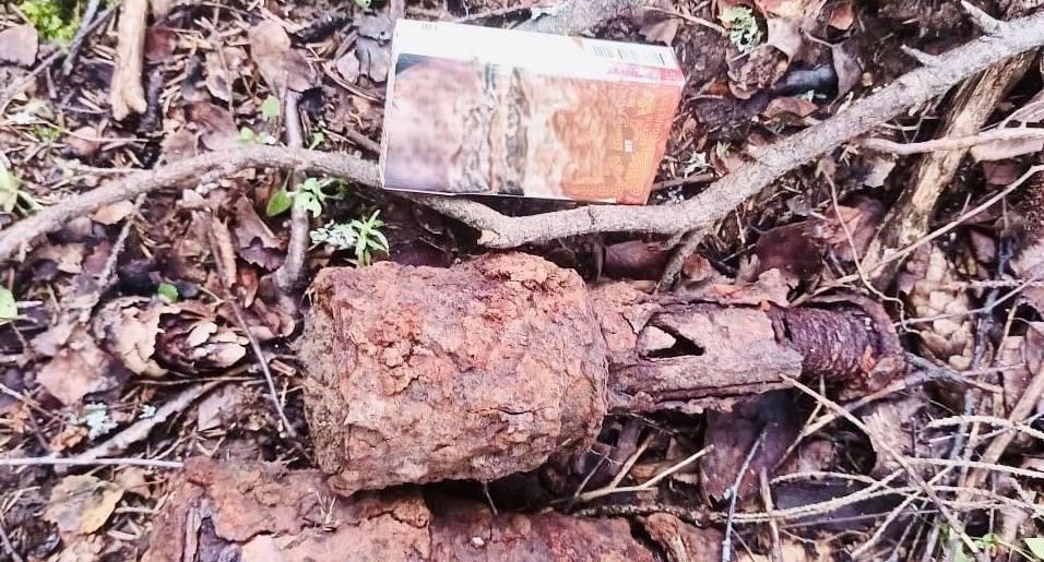 Гранаты времен Великой Отечественной войны обезвредили возле деревни Глухово