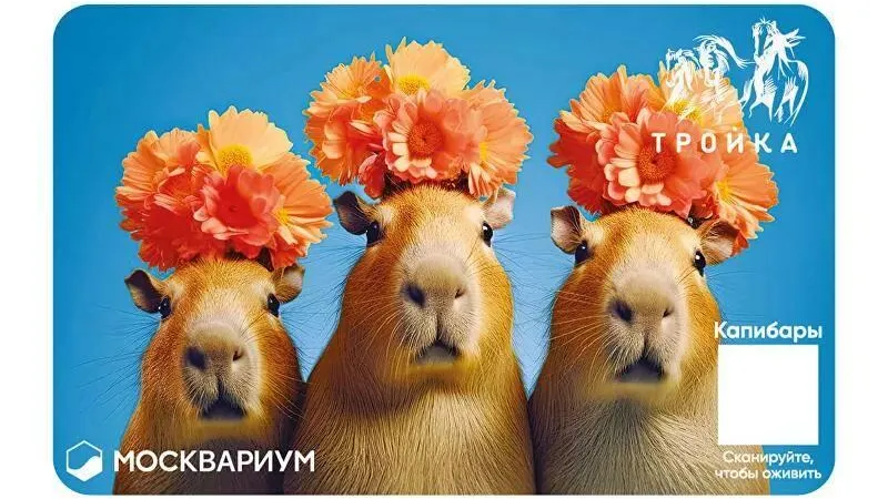 Фото: интернет-магазин мосметро