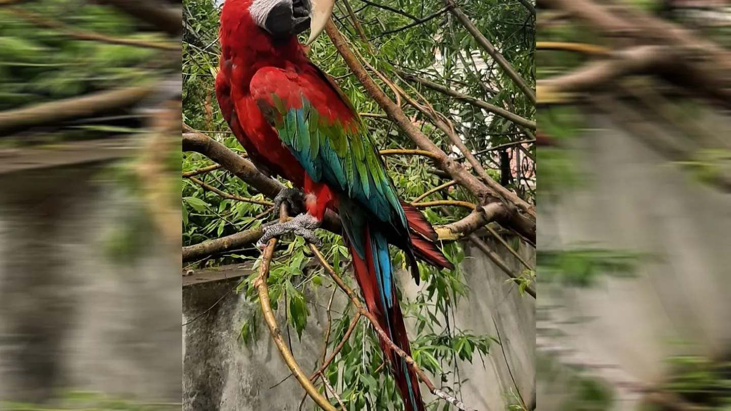 Фото: Телеканал «СПАС»