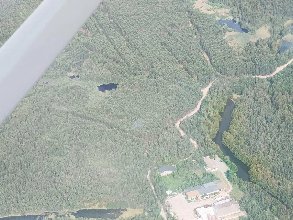 Фото: Комитет лесного хозяйства Московской области