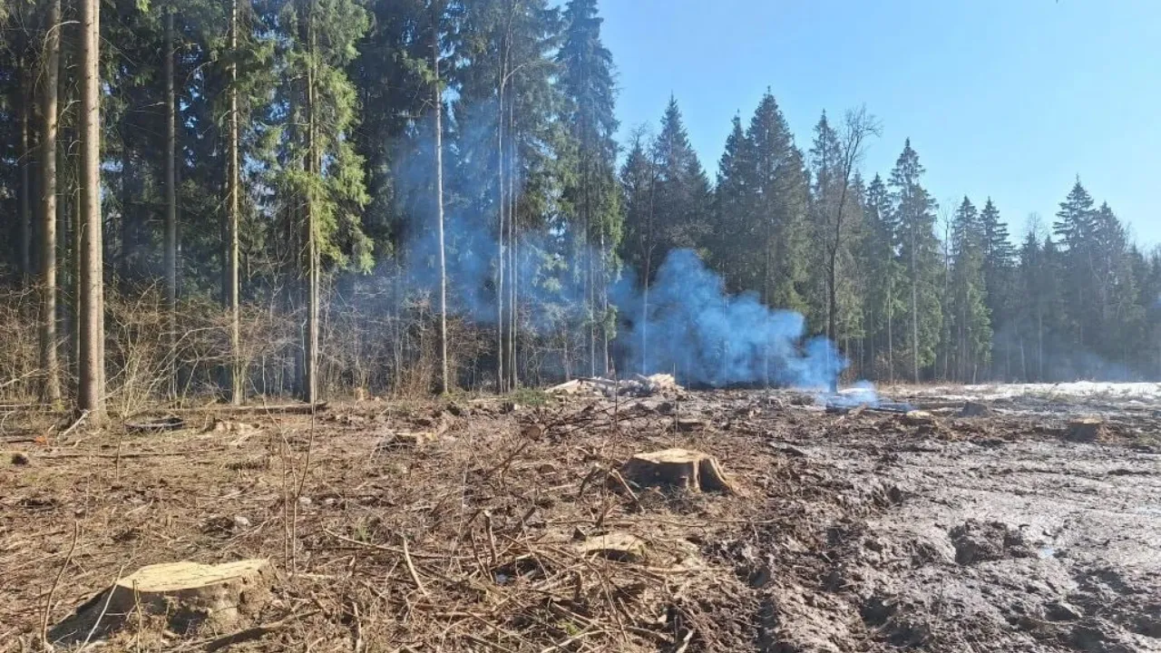 t.me/krasnogorsk_official