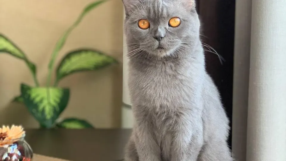 Фото: Министерство жилищной политики Московской области