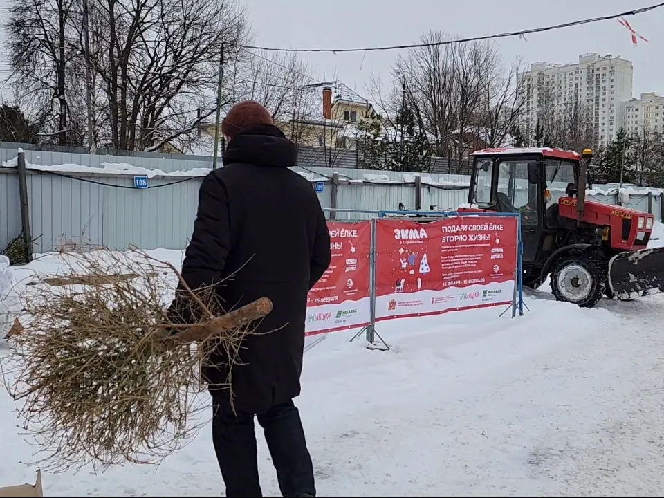 Фото: МедиаБанк Подмосковья/Никита Сморкалов