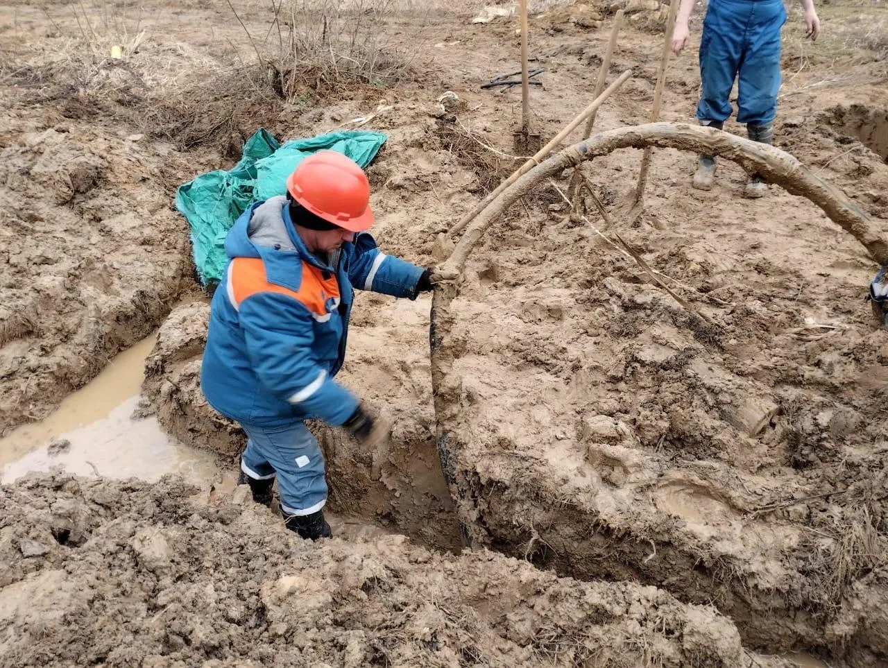 Фото: Министерство энергетики Московской области