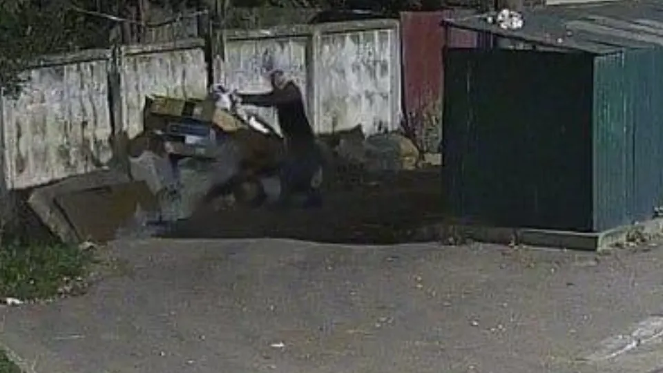 Фото: пресс-служба администрации городского округа Кашира