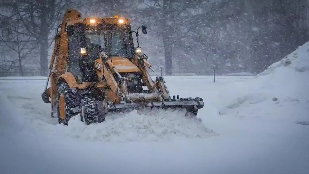 МедиаБанк Подмосковья/Ольга Антонова