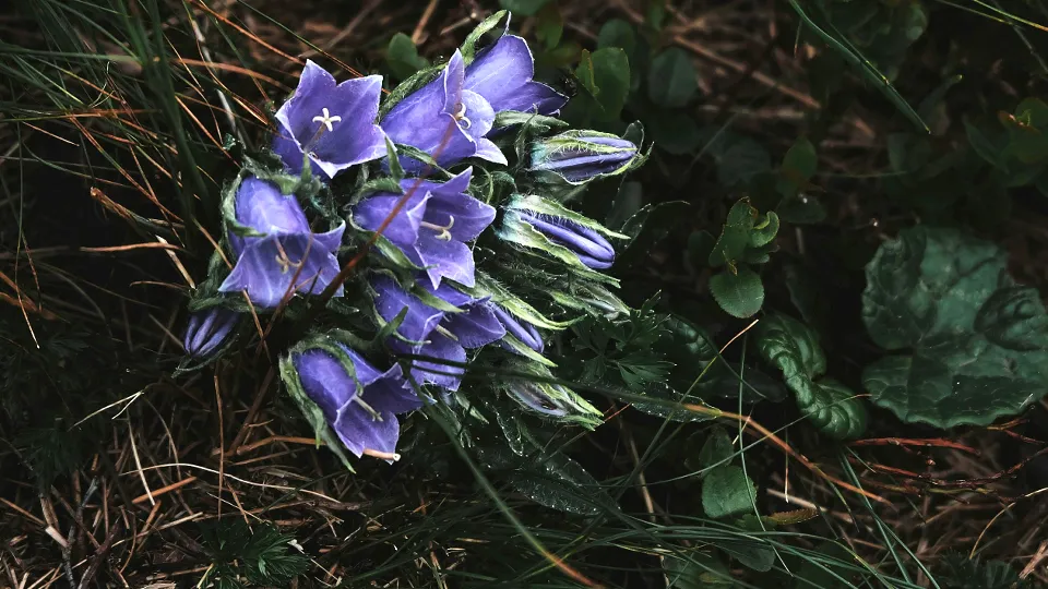 Фото: unsplash.com