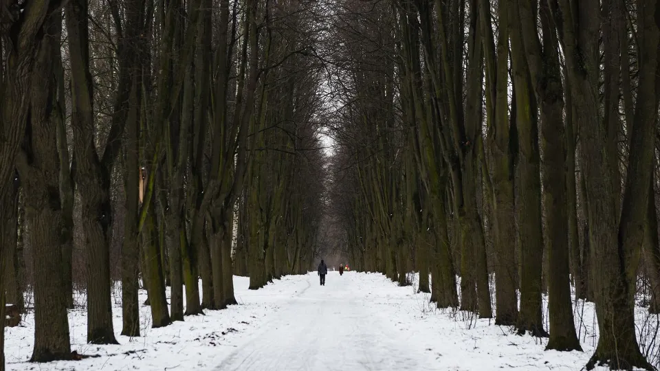 Фото: медиасток.рф