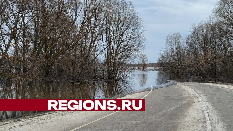Фото: Александр Дрожжин