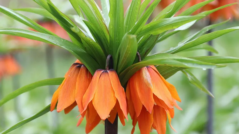 Фото: istockphoto.com/Wirestock