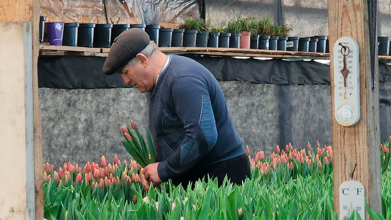 Станислав Орлов