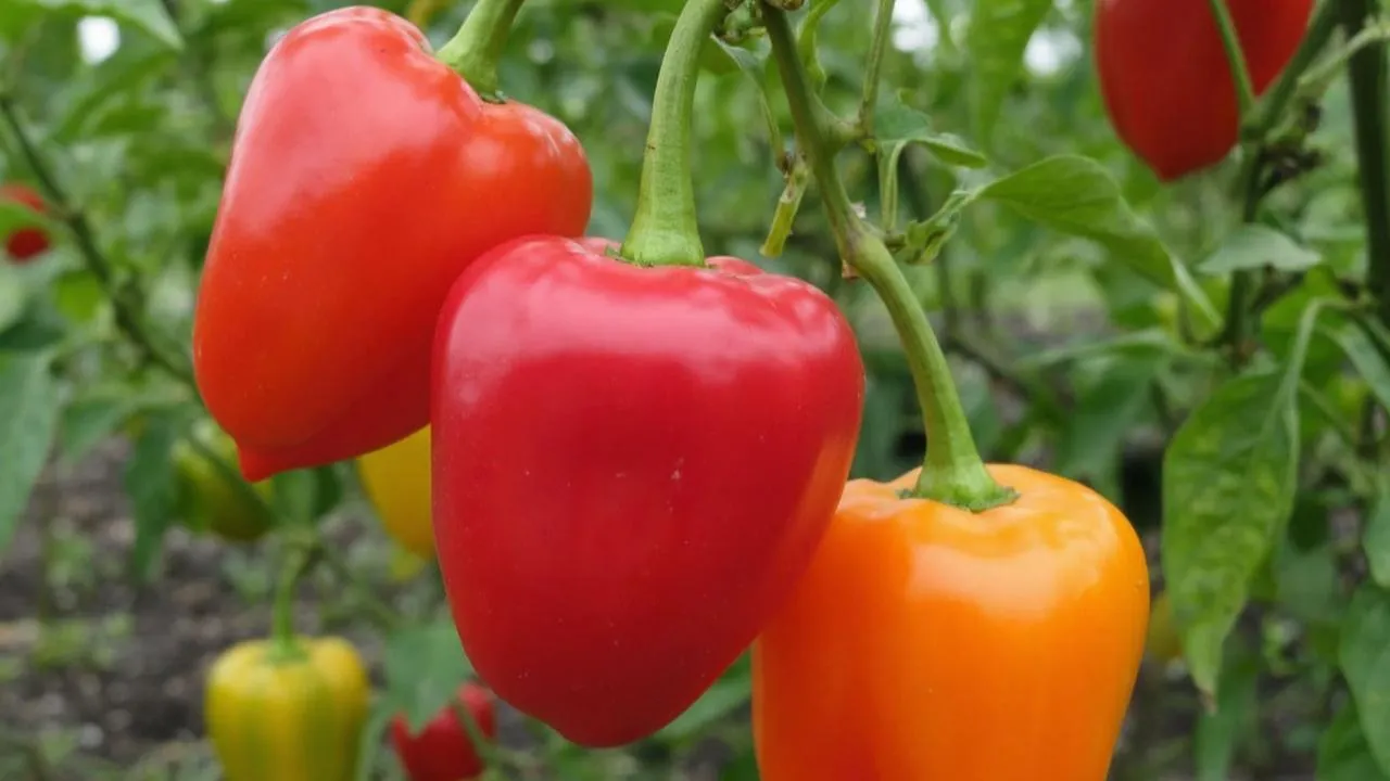 REGIONS/Сгенерировано нейросетью