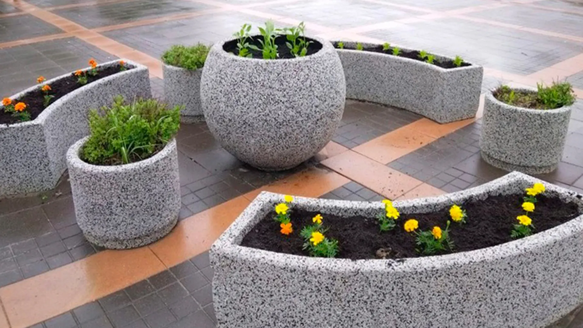 Фото: пресс-служба администрации г.о. Шатура