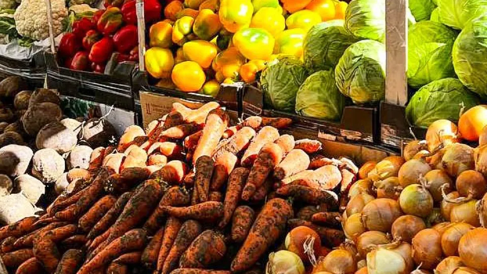 Фото: REGIONS/Максим Цыбуляк