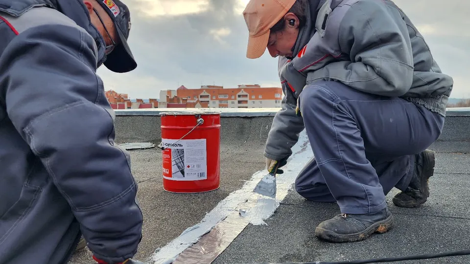 Фото: Андрей Алекин