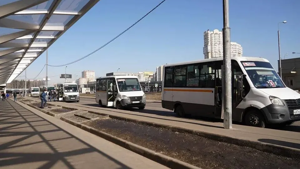 Фото: пресс-служба Администрации г.о.Котельники