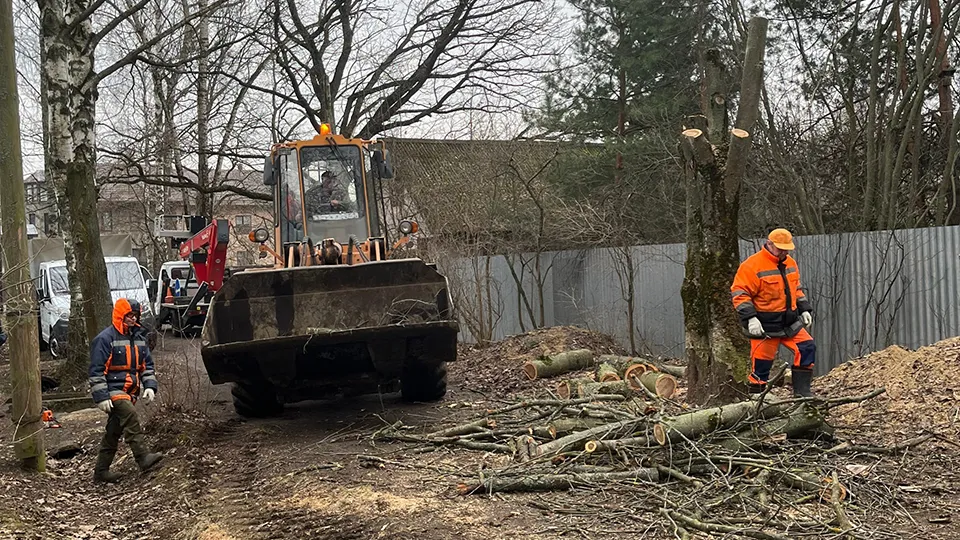 Фото: t.me/postpushkino