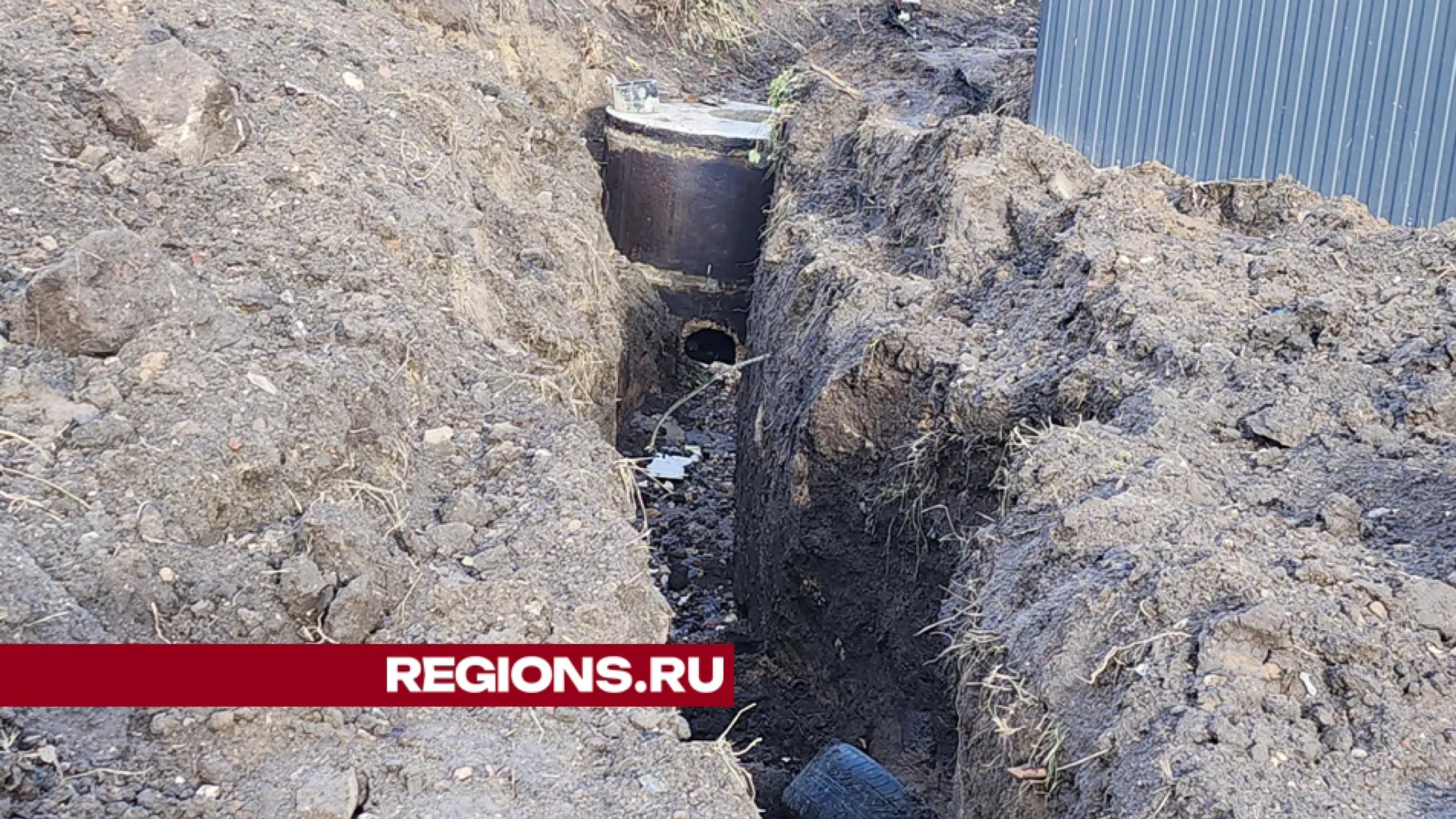 Фото: REGIONS/Александр Степушкин