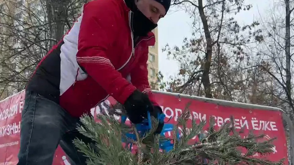 Фото: МедиаБанк Подмосковья/Ксения Казакова