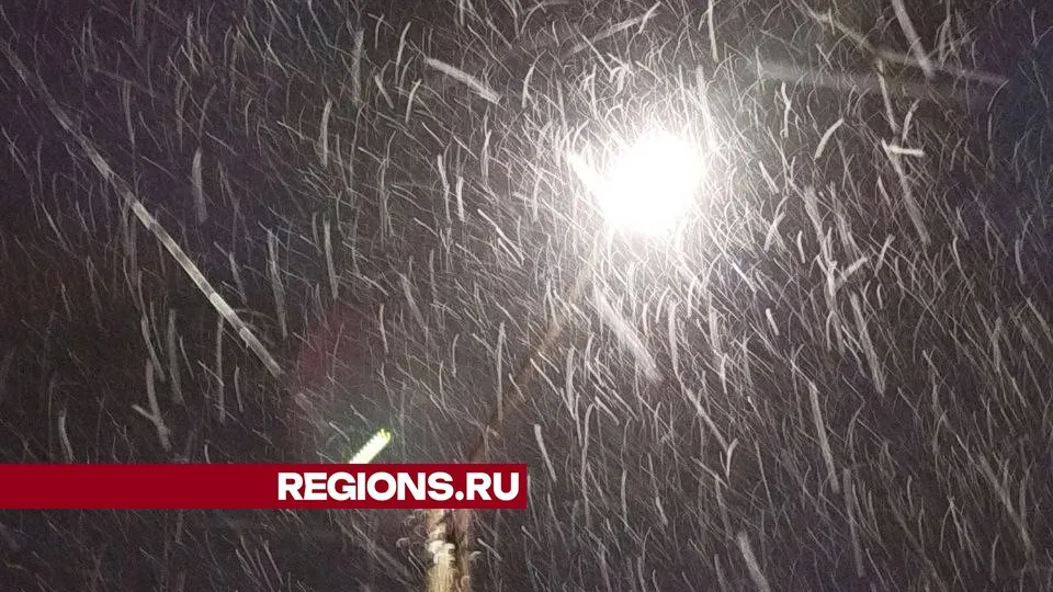 Фото: REGIONS/Юлия Куделькина