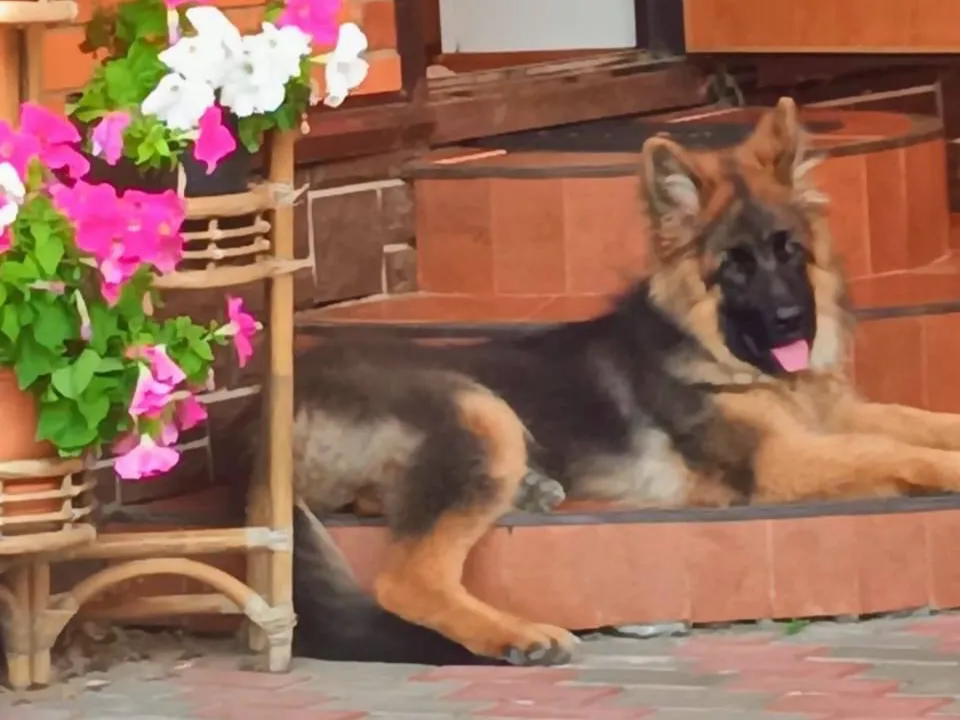 Фото: Наталья Козлова