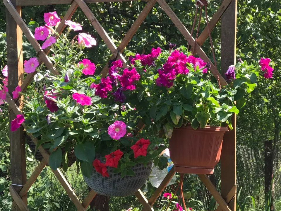 Фото: Галина Милых