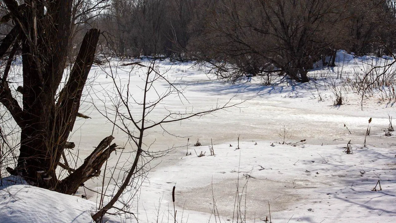 REGIONS/Дарина Левкина