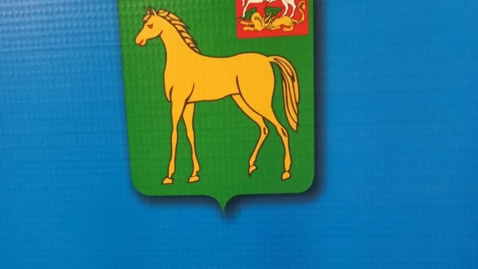 Фото: пресс-служба администрации городского округа Бронницы