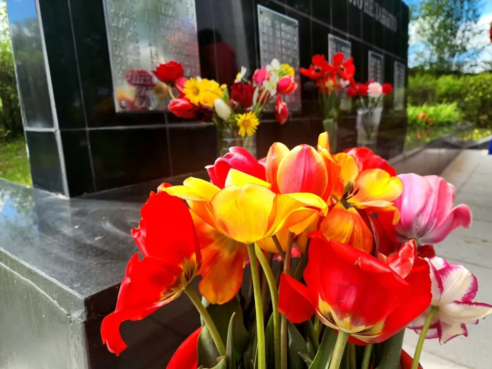 Фото: REGIONS/Мария Панина