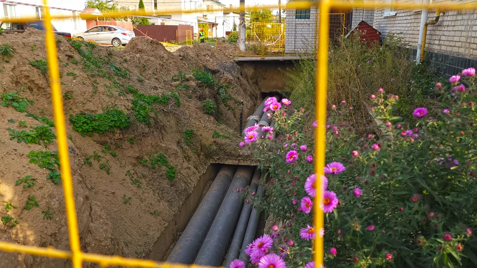 Фото: Валерия Тингаева