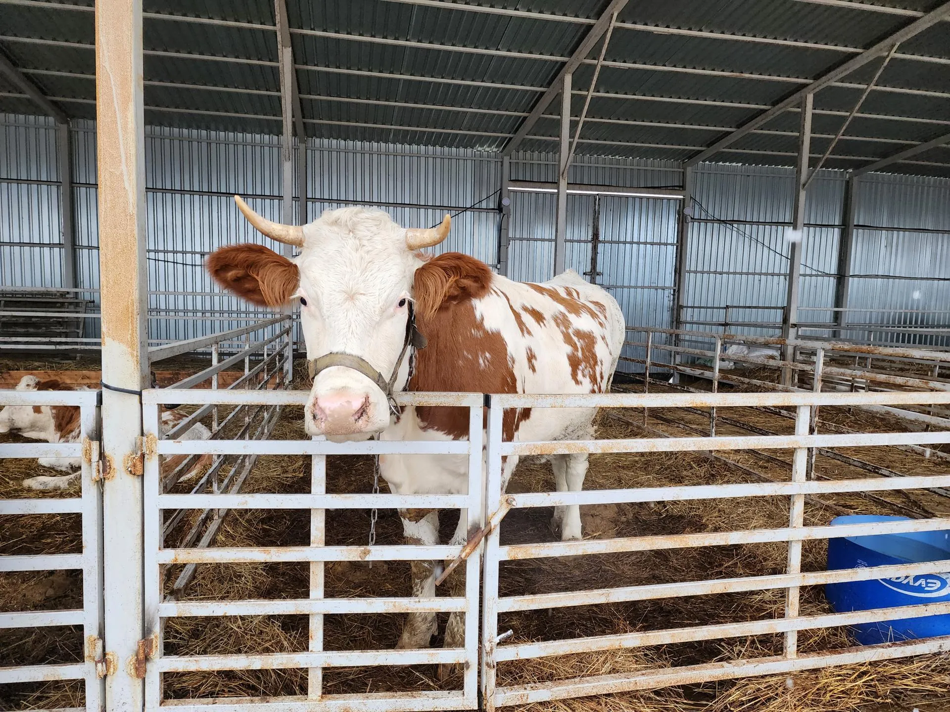 Мария Андрюхина