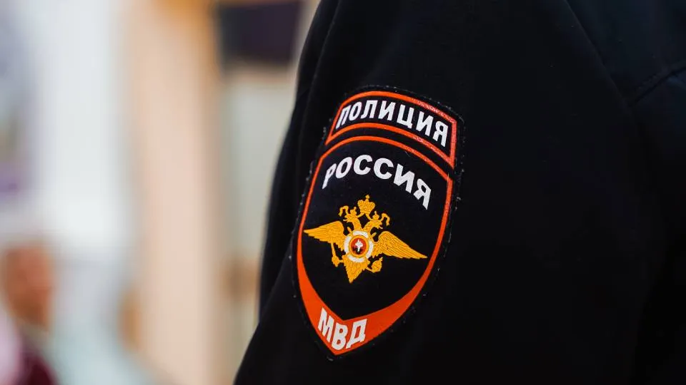 Фото: Дарья Погорельцева