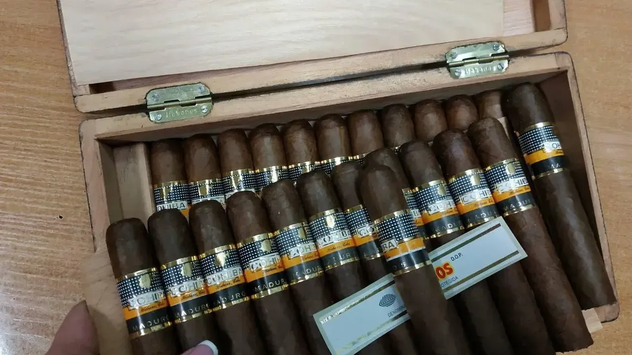 Фото: пресс-служба аэропорта Шереметьево