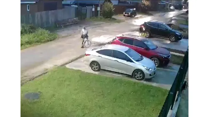 Фото: телеграм-канал «Рай и МКАД»