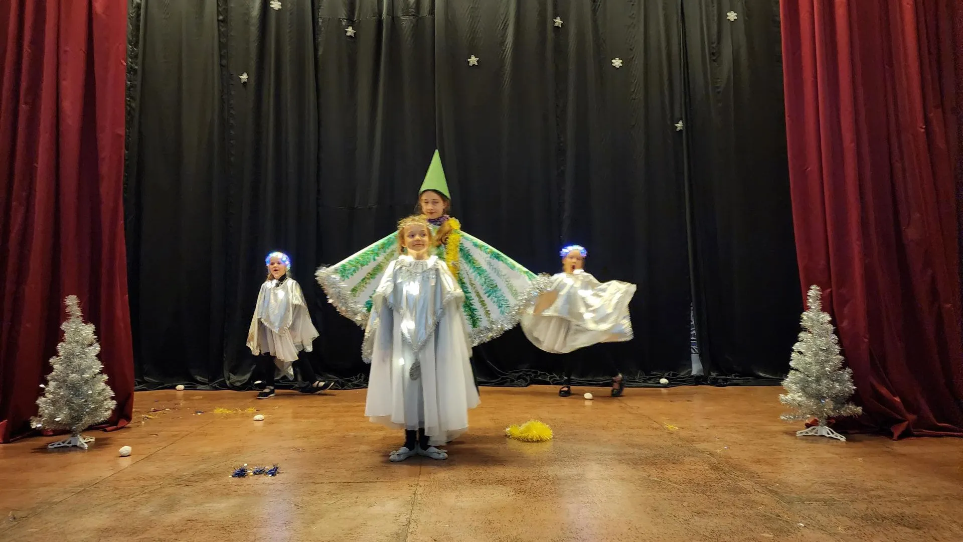 Хавива Фонина