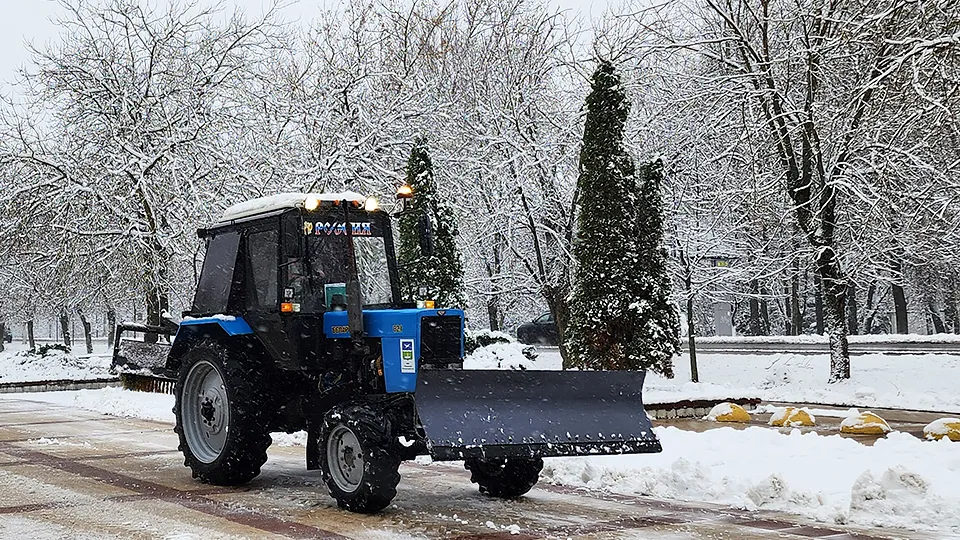 Фото: МедиаБанк Подмосковья/Дмитрий Алексеенко