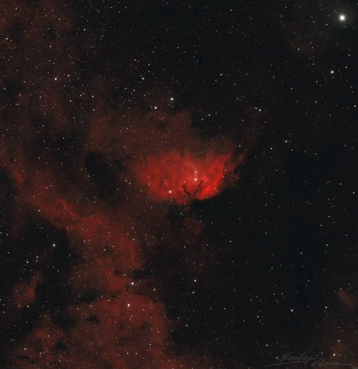 «Роскосмос» / Николай Вдовин