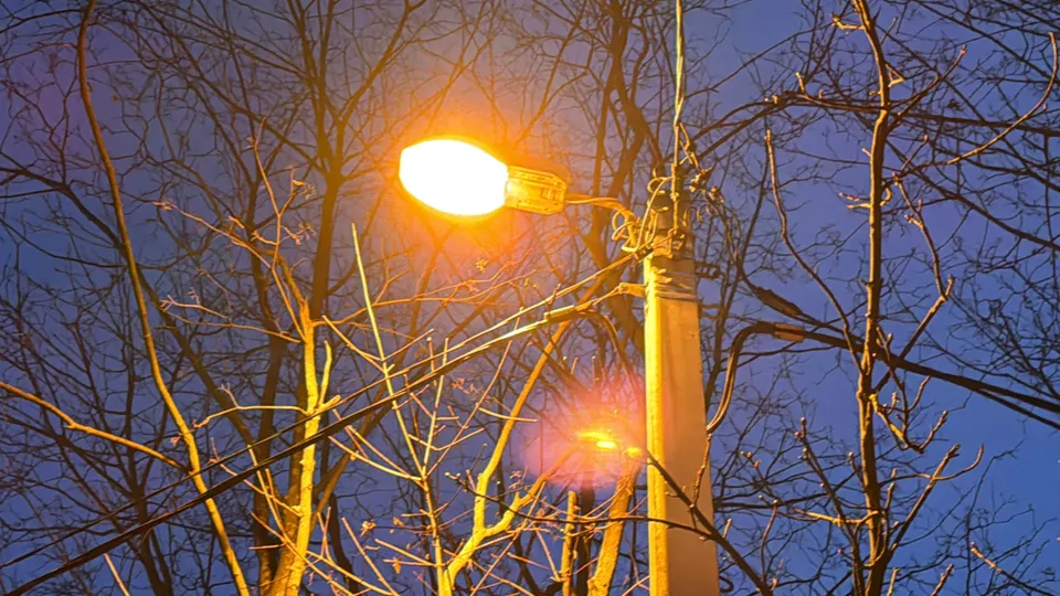 Фото: МедиаБанк Подмосковья/Мария Шматкова