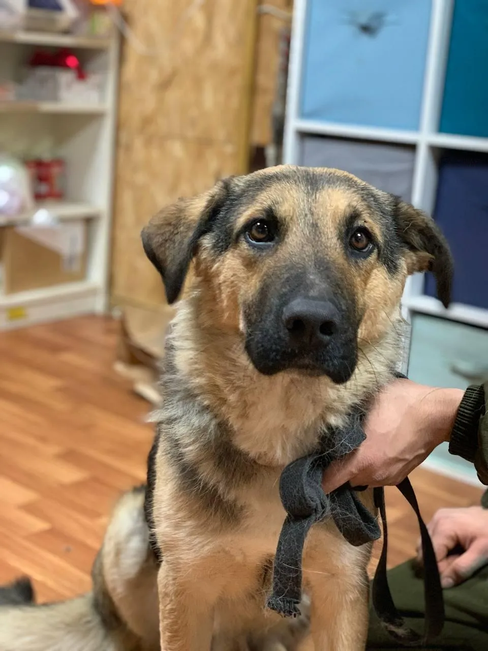 Фото: личный архив Натальи