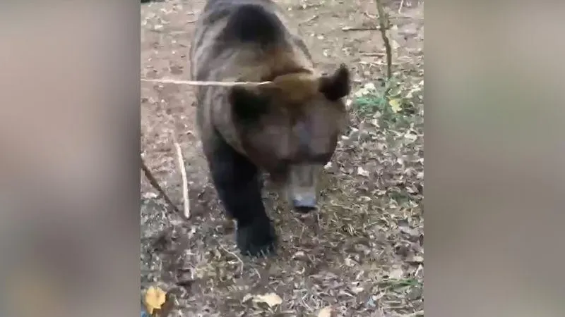  Типичное Пушкино / ВКонтакте