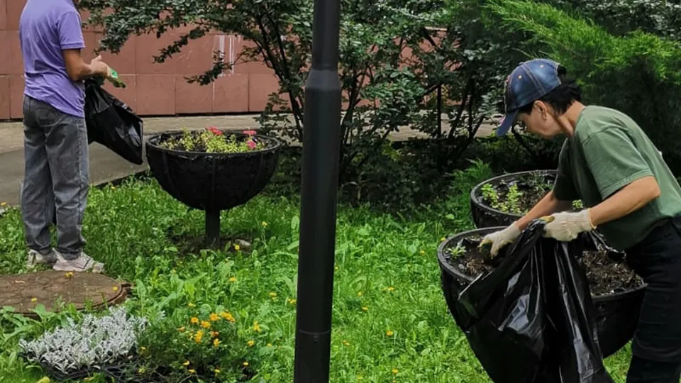 Фото: Служба содержания и благоустройства территорий г. о. Щелково