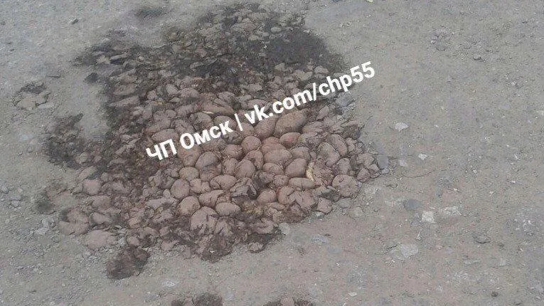 ЧП Омск / vk.com