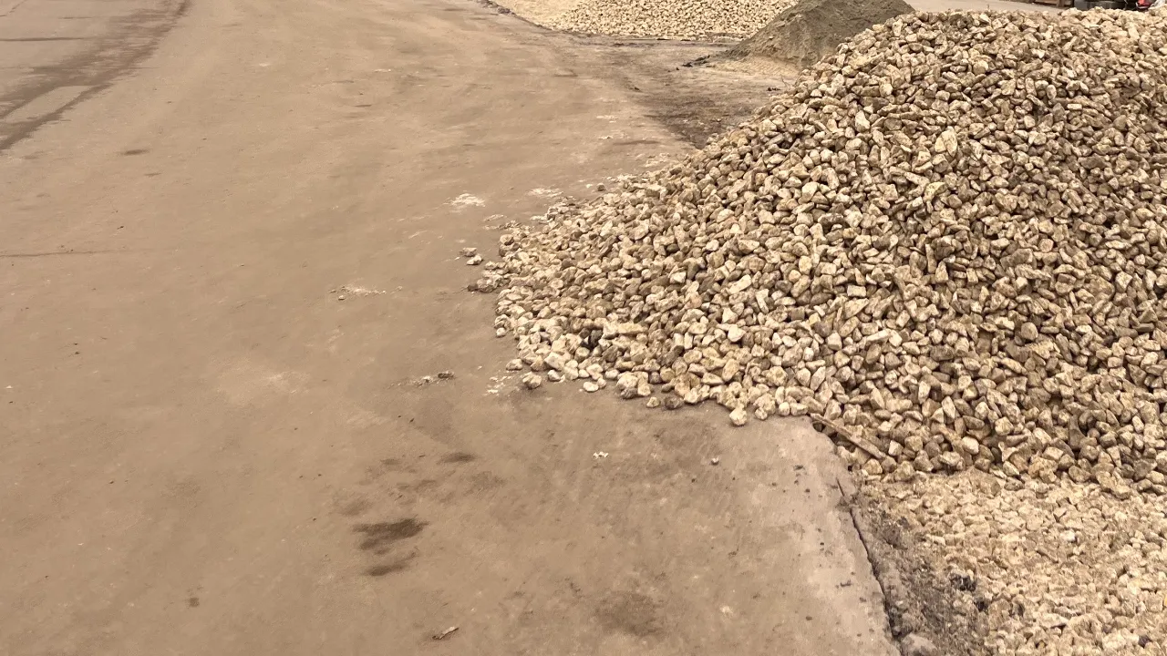 МедиаБанк Подмосковья/Ангелина Стельмух