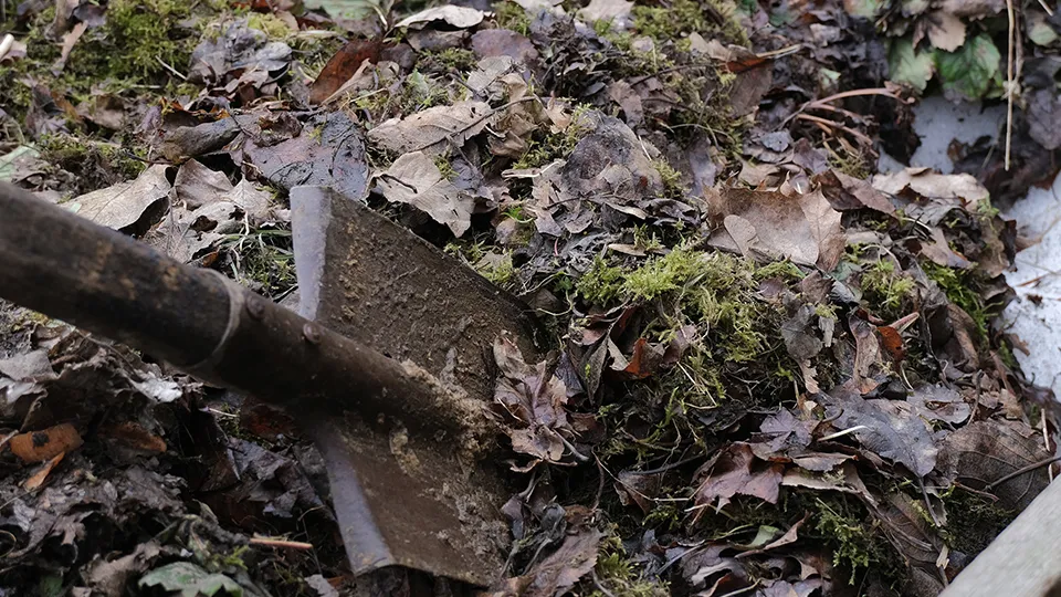 Фото: istockphoto.com/Oksana Vainrub