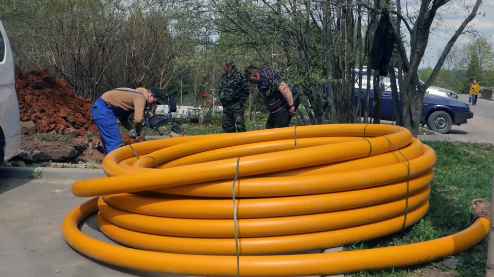 Фото: МедиаБанк Подмосковья/Мария Панина