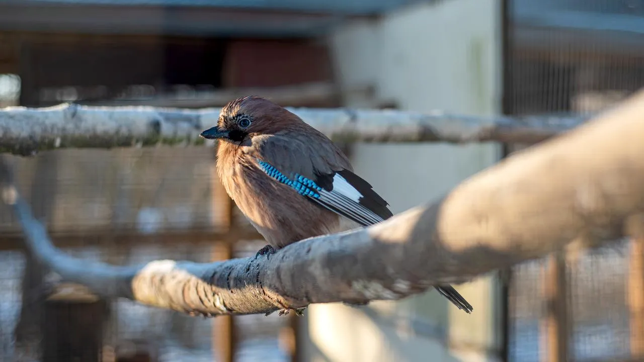 медиасток.рф